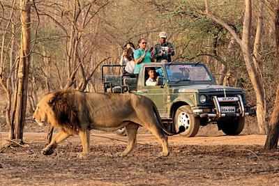 Ahmedabad Gir National Park Weekend Tour (2N/3D)