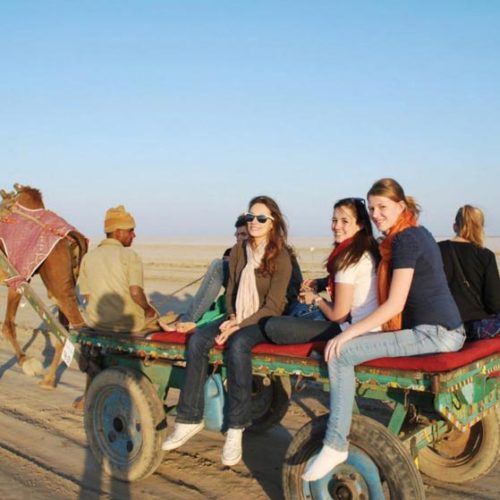 Gujarat Desert Beach Tour ( 4 Nights / 5 Days )
