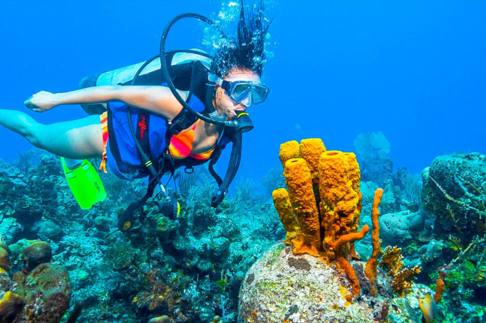 Scuba Diving And Snorkel